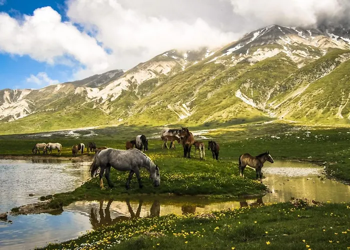Apartment La Dei Tartufi - *